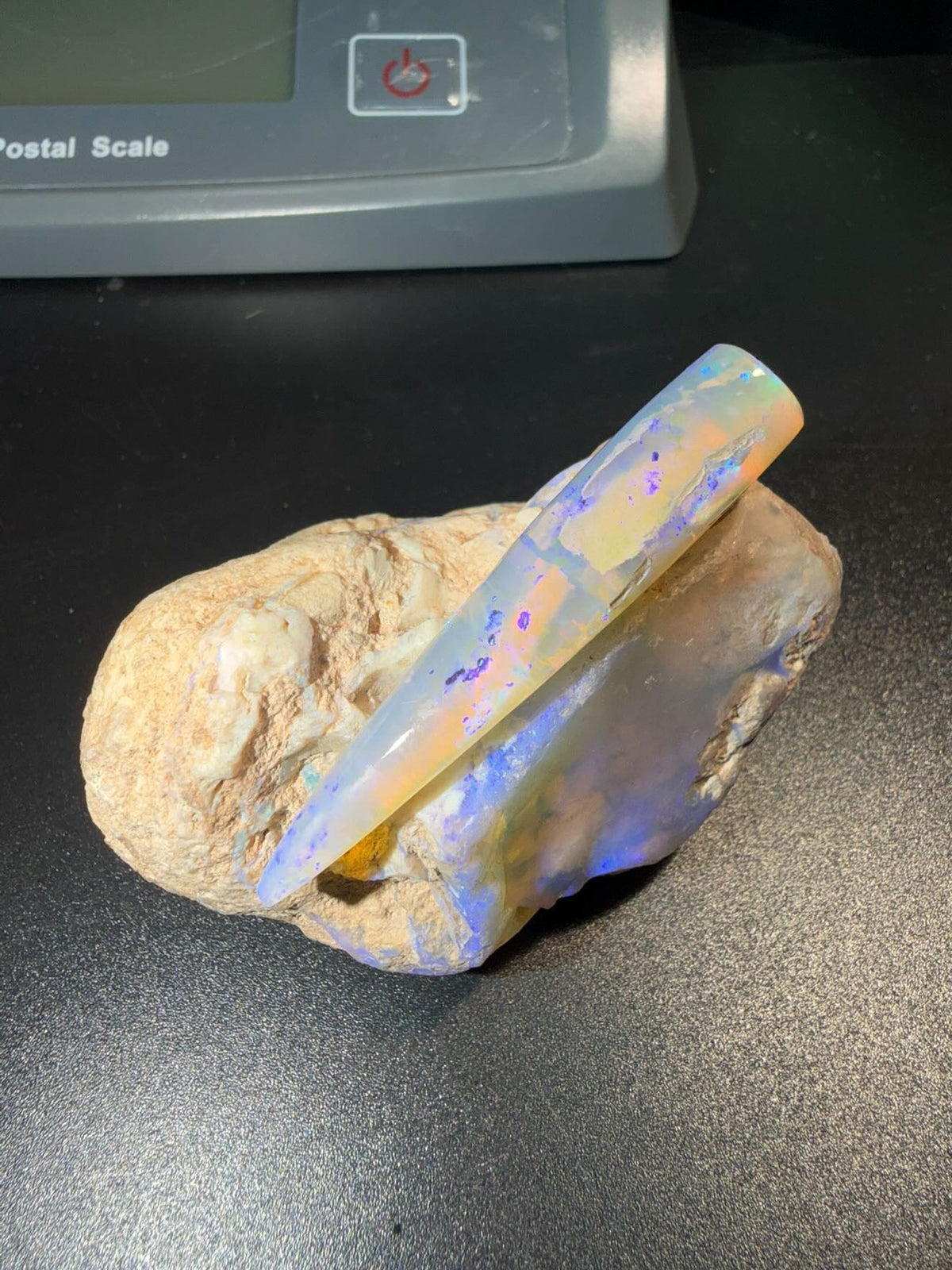 Fossils/Specimens
