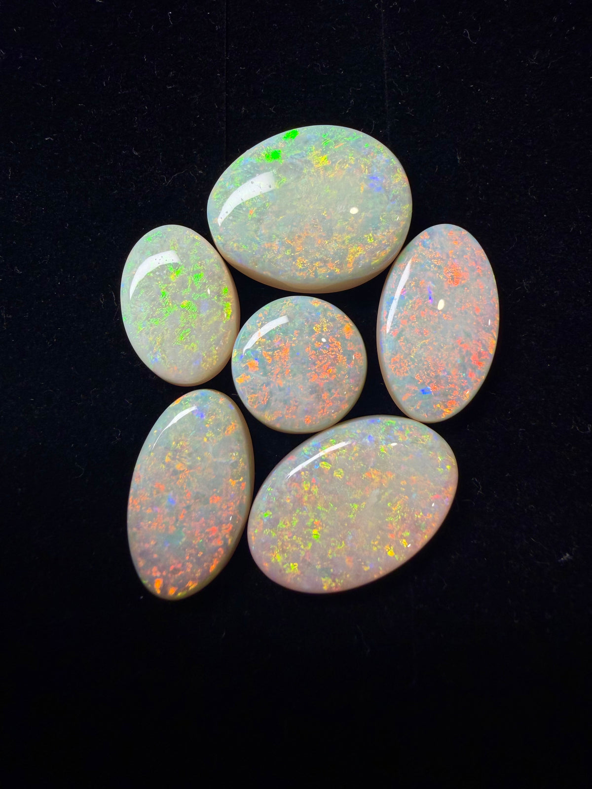 52ct Australian Crystal Opal Parcel – Olympic Field, Coober Pedy | 6 Finished Stones