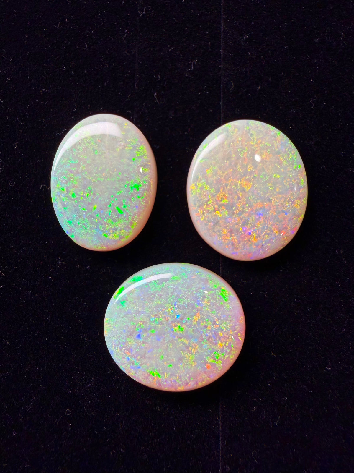 73ct Australian Crystal Opal Parcel – Olympic Field, Coober Pedy | 3 Finished Stones