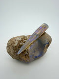 Rare Opalised Belemnite Fossil Specimen – Coober Pedy, Australia