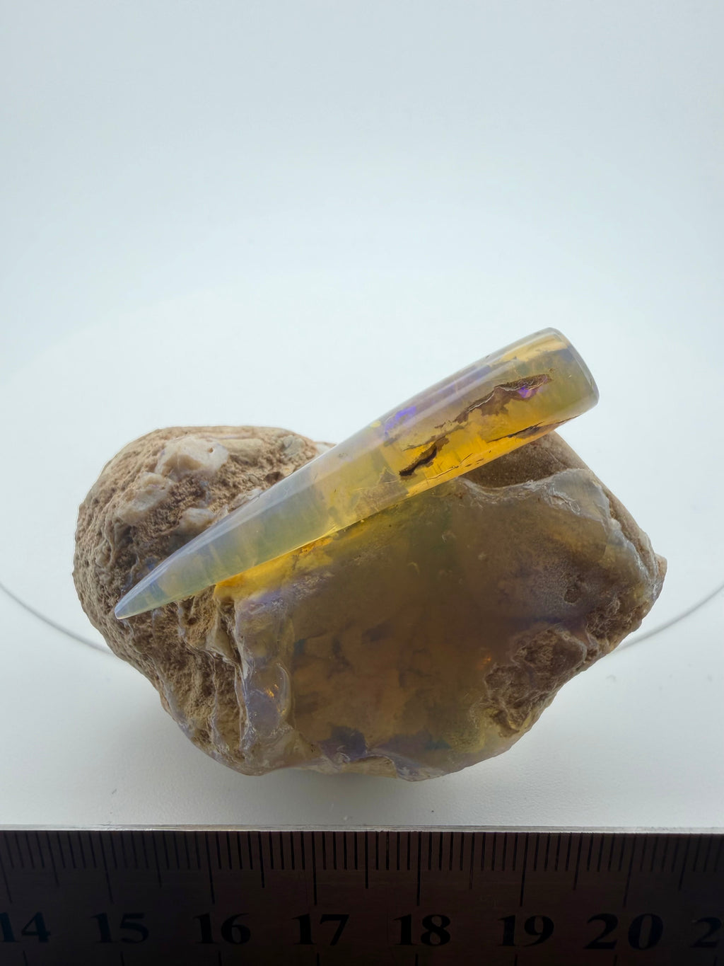 Rare Opalised Belemnite Fossil Specimen – Coober Pedy, Australia