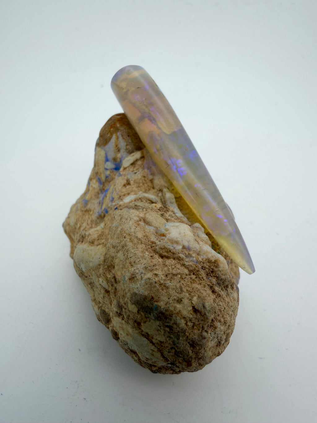 Rare Opalised Belemnite Fossil Specimen – Coober Pedy, Australia