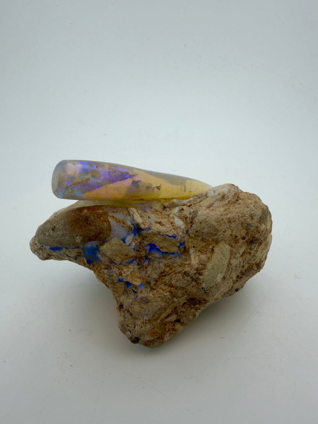 Rare Opalised Belemnite Fossil Specimen – Coober Pedy, Australia