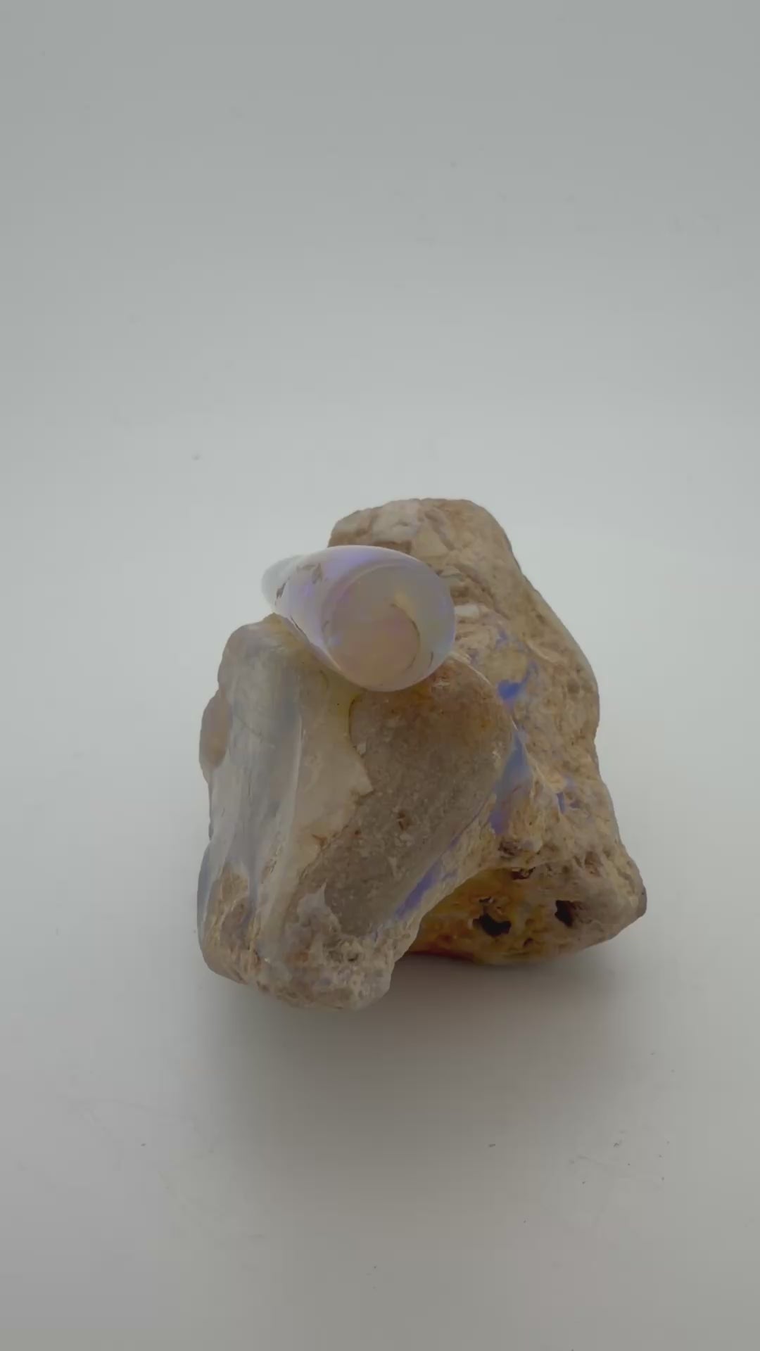 Rare Opalised Belemnite Fossil Specimen – Coober Pedy, Australia