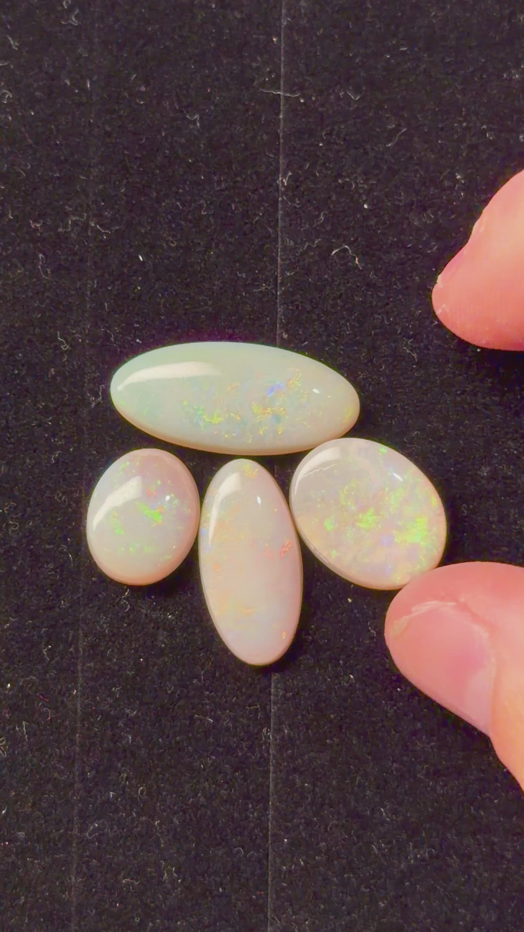 22.7ct Australian Crystal Opal Parcel – Olympic Field, Coober Pedy | 4 Finished Stones