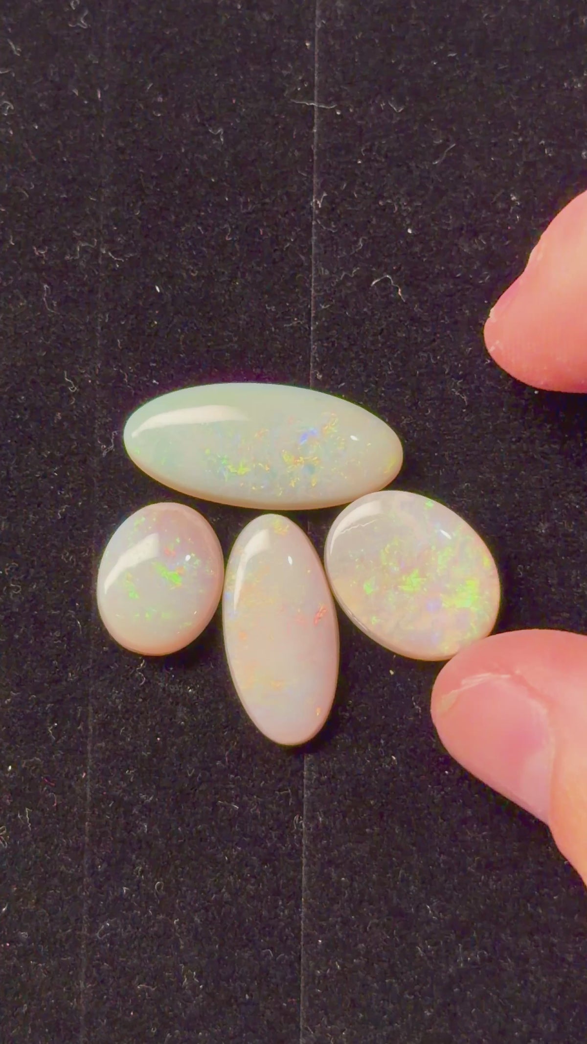 22.7ct Australian Crystal Opal Parcel – Olympic Field, Coober Pedy | 4 Finished Stones