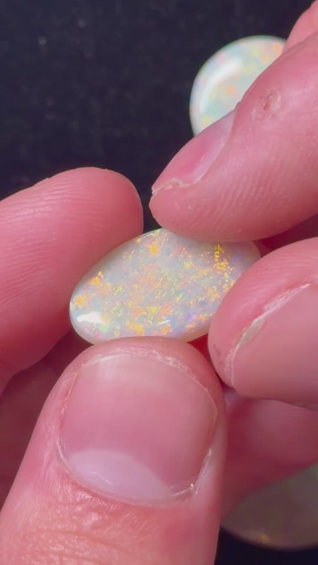 52ct Australian Crystal Opal Parcel – Olympic Field, Coober Pedy | 6 Finished Stones