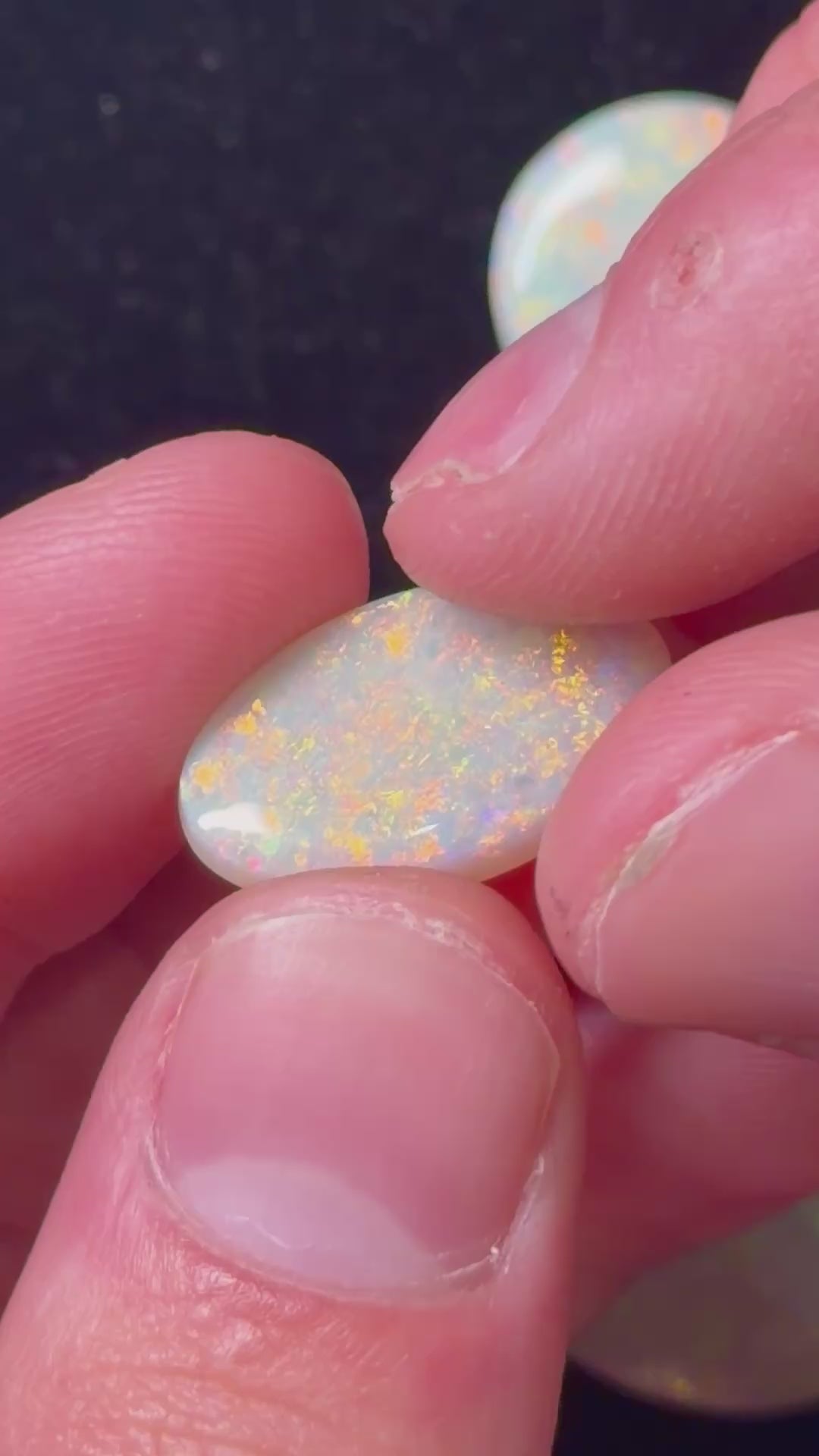 52ct Australian Crystal Opal Parcel – Olympic Field, Coober Pedy | 6 Finished Stones